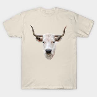 Striking head of a White Park Cow T-Shirt